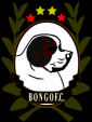 Bongo FC - 1 título